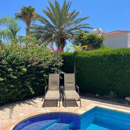 Villa Tamara With Private Pool Pegeia Exterior foto
